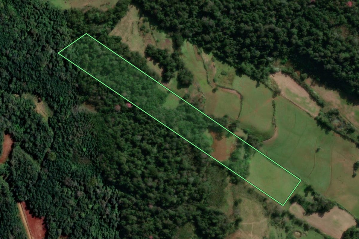 Imagem de satélite do imóvel rural em Alecrim (RS), com o contorno declarado no CAR desenhado por cima.