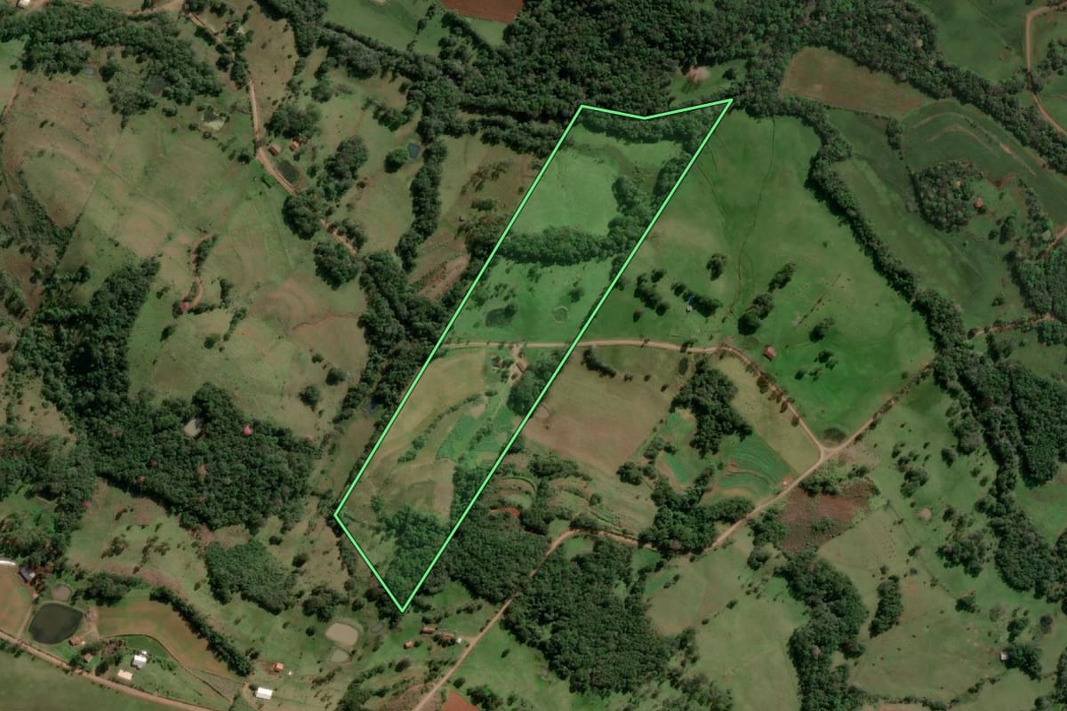 Imagem de satélite do imóvel rural em Alecrim (RS), com o contorno declarado no CAR desenhado por cima.