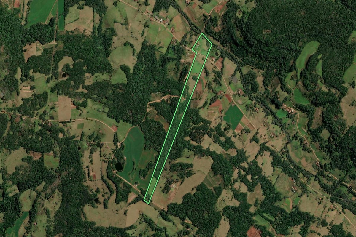 Imagem de satélite do imóvel rural em Alecrim (RS), com o contorno declarado no CAR desenhado por cima.