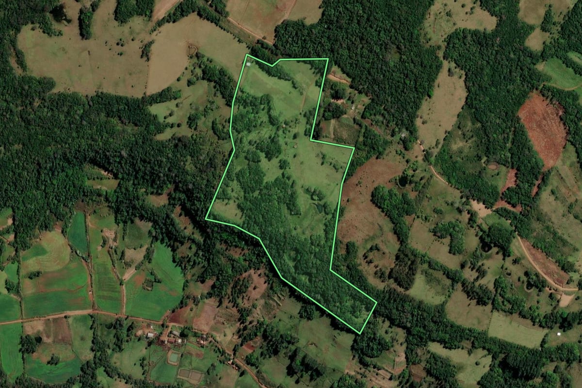 Imagem de satélite do imóvel rural em Alecrim (RS), com o contorno declarado no CAR desenhado por cima.