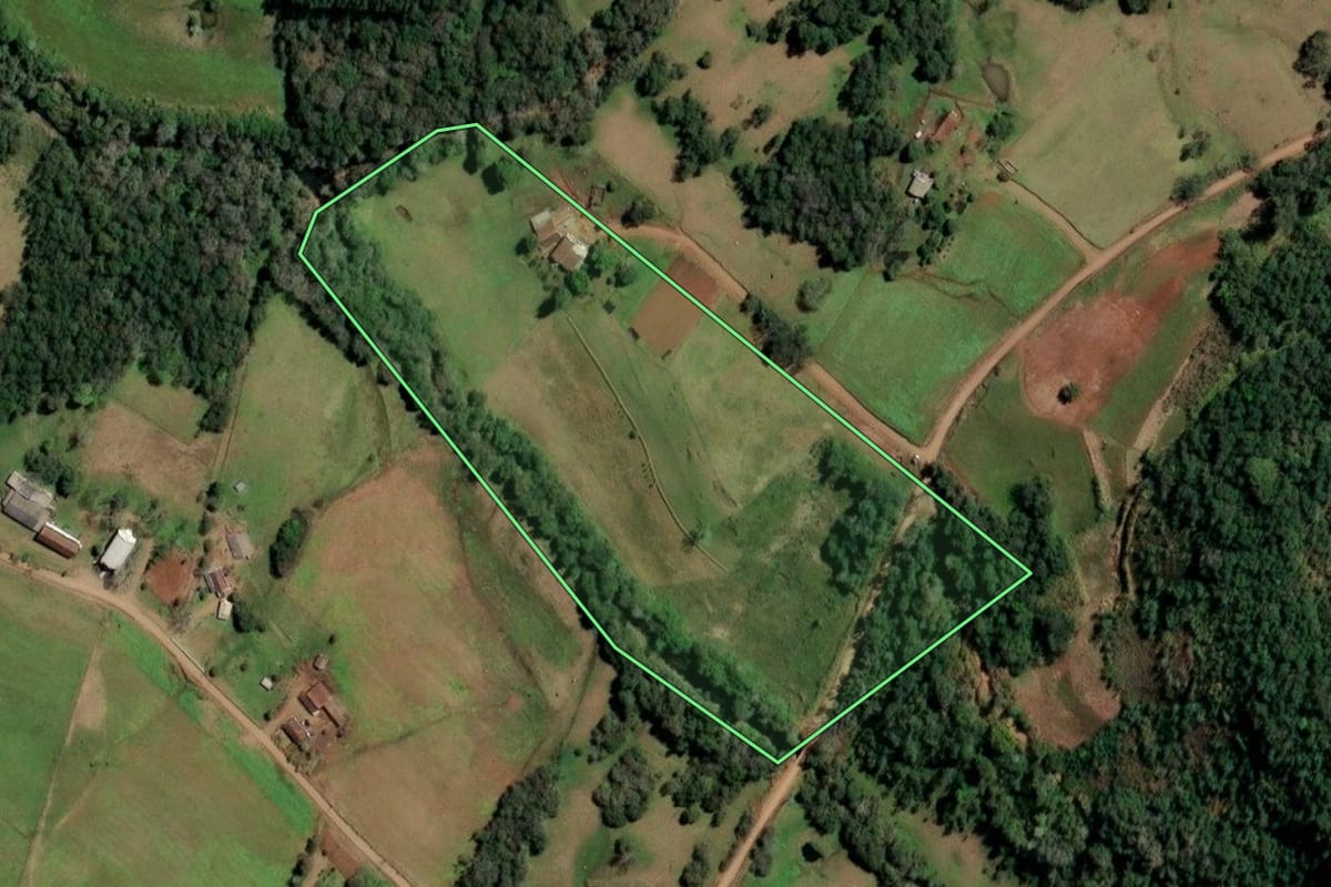 Imagem de satélite do imóvel rural em Alecrim (RS), com o contorno declarado no CAR desenhado por cima.
