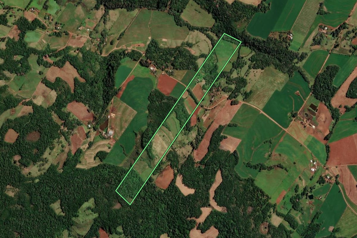 Imagem de satélite do imóvel rural em Alecrim (RS), com o contorno declarado no CAR desenhado por cima.