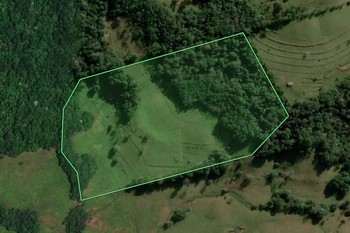 Imagem de satélite do imóvel rural em Alecrim (RS), com o contorno declarado no CAR desenhado por cima.