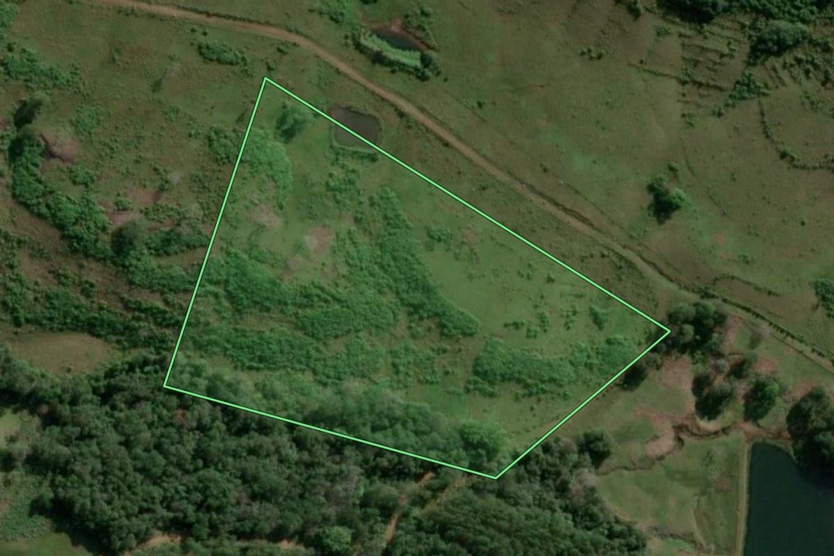 Imagem de satélite do imóvel rural em Alecrim (RS), com o contorno declarado no CAR desenhado por cima.