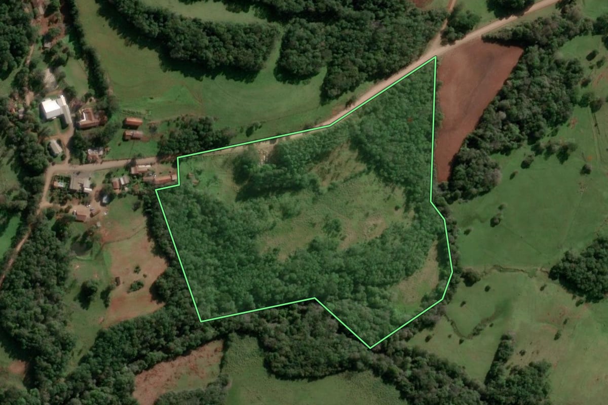 Imagem de satélite do imóvel rural em Alecrim (RS), com o contorno declarado no CAR desenhado por cima.