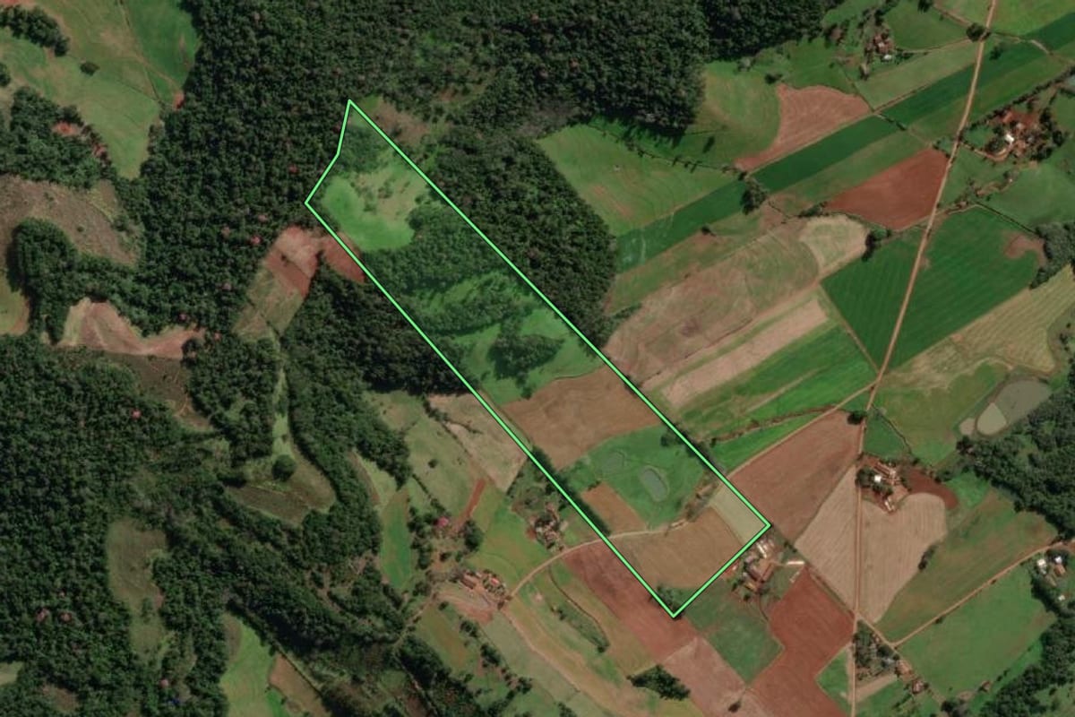 Imagem de satélite do imóvel rural em Alecrim (RS), com o contorno declarado no CAR desenhado por cima.