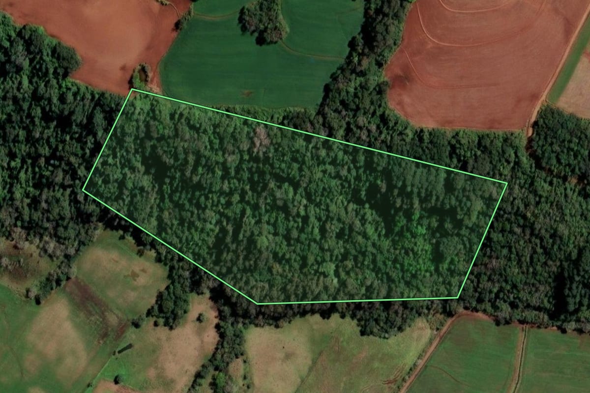 Imagem de satélite do imóvel rural em Alecrim (RS), com o contorno declarado no CAR desenhado por cima.