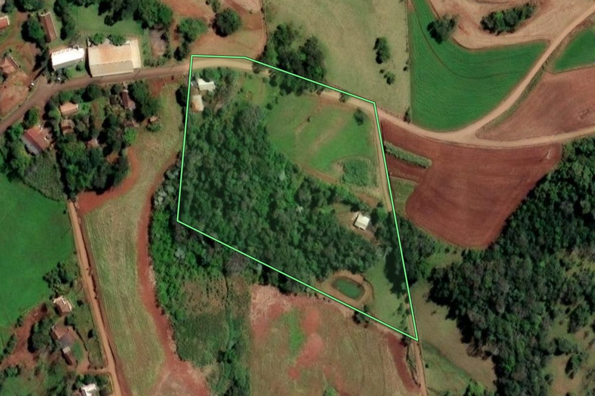 Imagem de satélite do imóvel rural em Alecrim (RS), com o contorno declarado no CAR desenhado por cima.