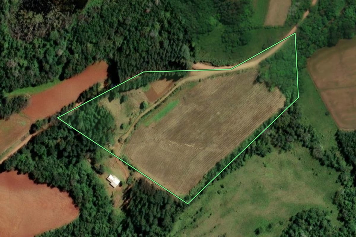 Imagem de satélite do imóvel rural em Alecrim (RS), com o contorno declarado no CAR desenhado por cima.
