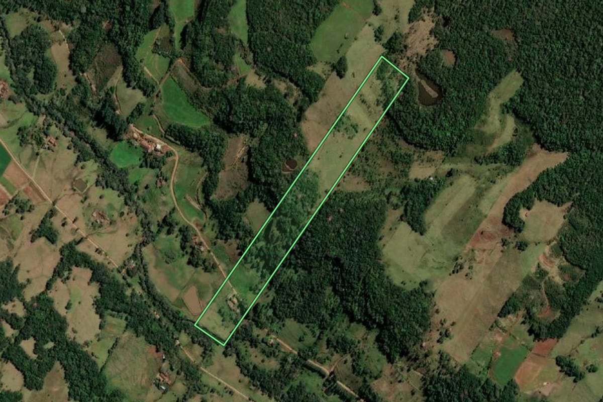 Imagem de satélite do imóvel rural em Alecrim (RS), com o contorno declarado no CAR desenhado por cima.