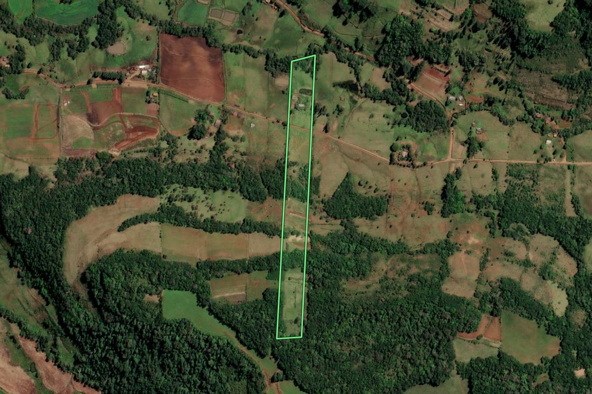 Imagem de satélite do imóvel rural em Alecrim (RS), com o contorno declarado no CAR desenhado por cima.