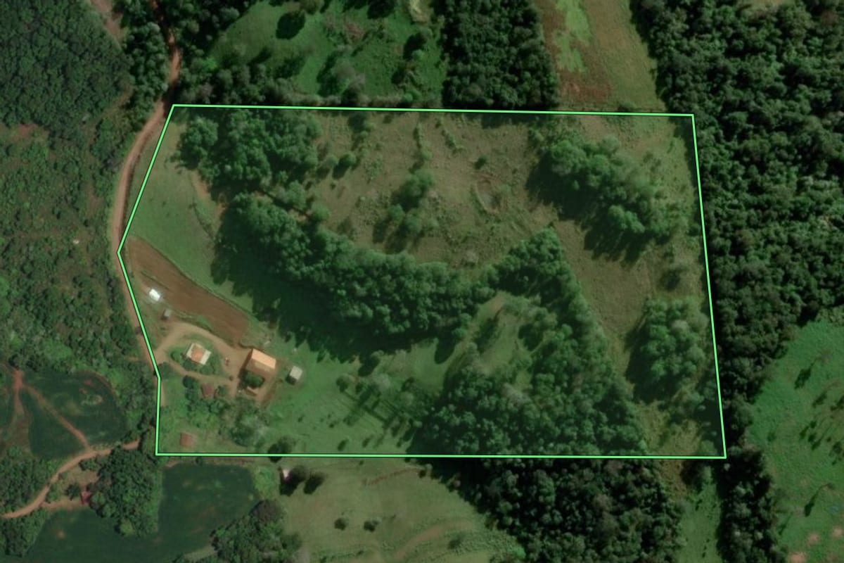 Imagem de satélite do imóvel rural em Alecrim (RS), com o contorno declarado no CAR desenhado por cima.