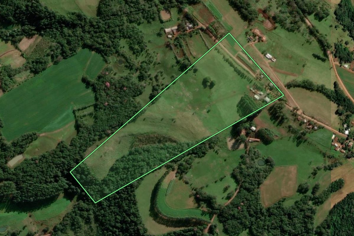 Imagem de satélite do imóvel rural em Alecrim (RS), com o contorno declarado no CAR desenhado por cima.