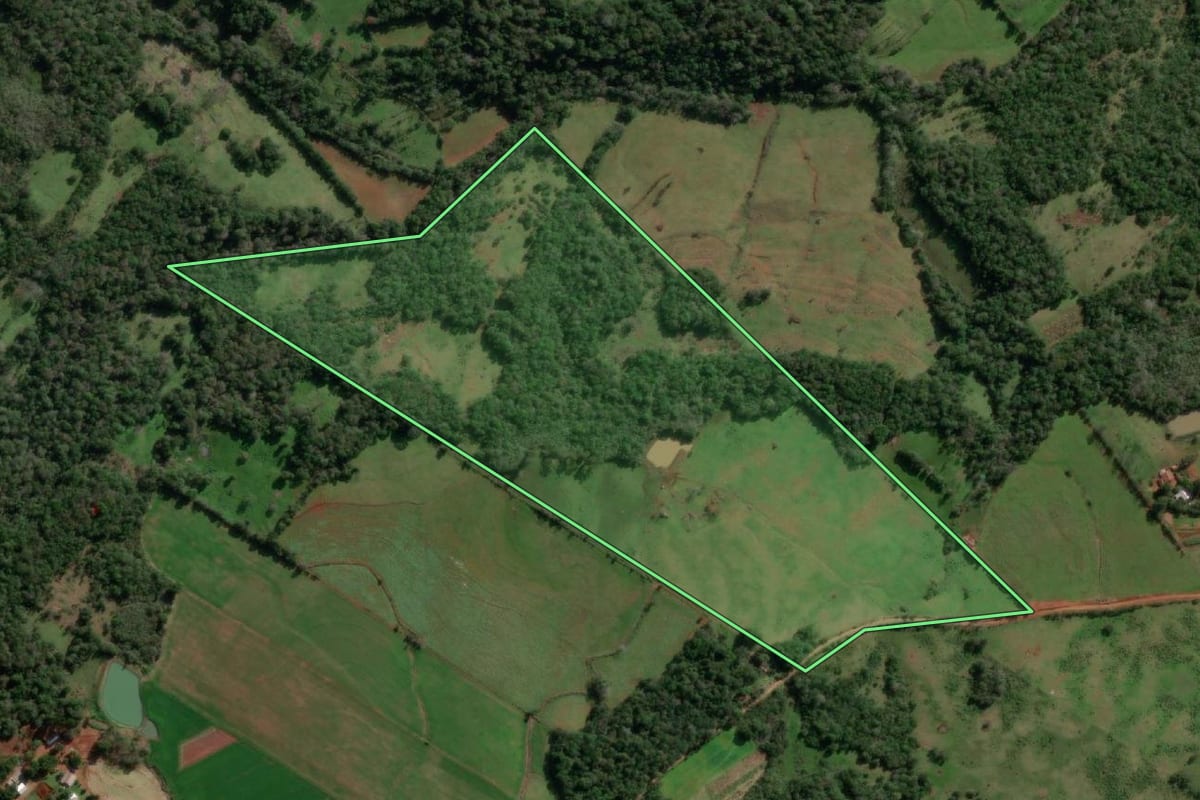 Imagem de satélite do imóvel rural em Alecrim (RS), com o contorno declarado no CAR desenhado por cima.