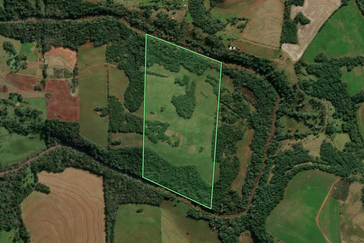Imagem de satélite do imóvel rural em Alecrim (RS), com o contorno declarado no CAR desenhado por cima.