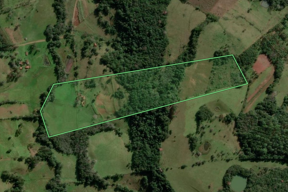 Imagem de satélite do imóvel rural em Alecrim (RS), com o contorno declarado no CAR desenhado por cima.