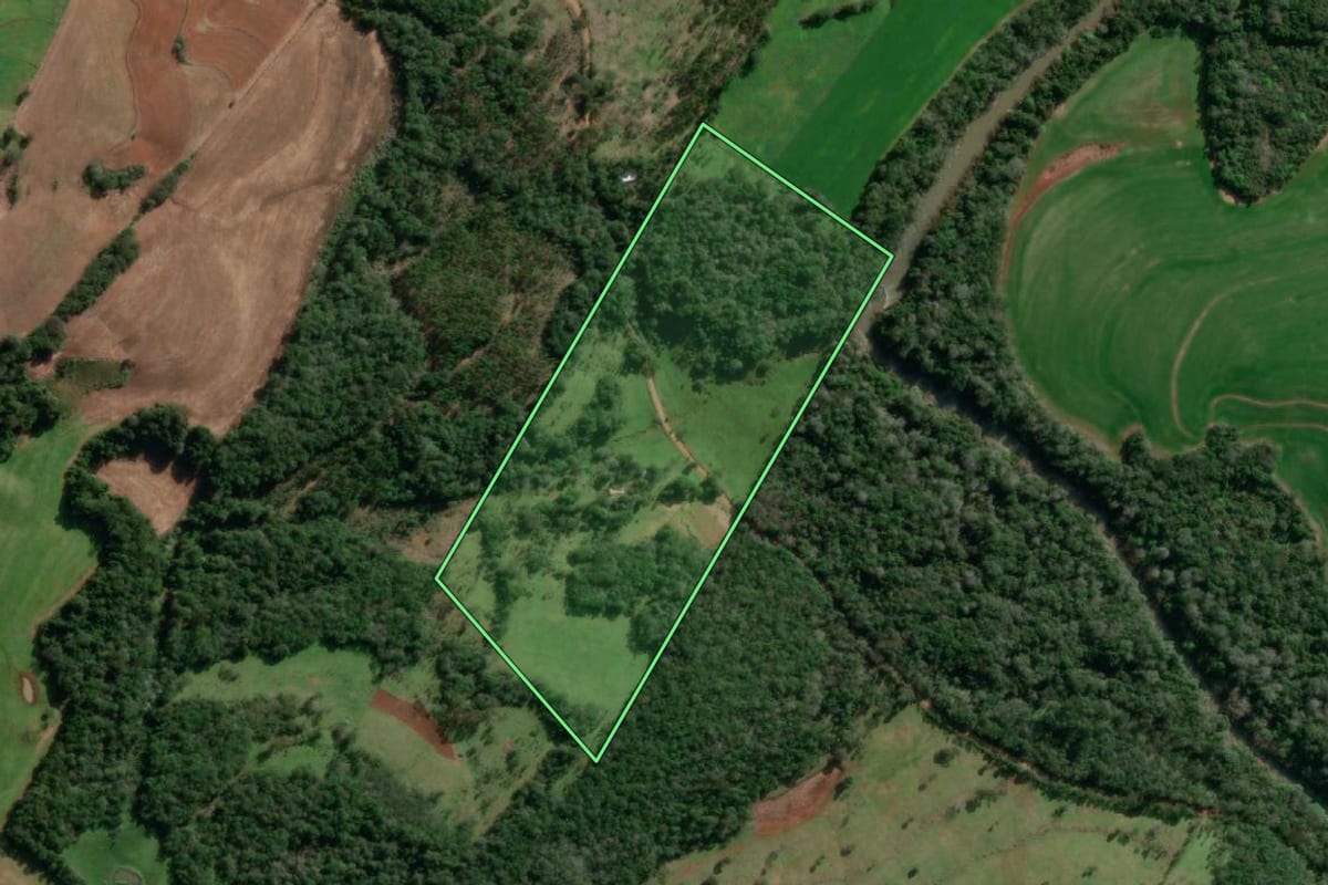 Imagem de satélite do imóvel rural em Alecrim (RS), com o contorno declarado no CAR desenhado por cima.