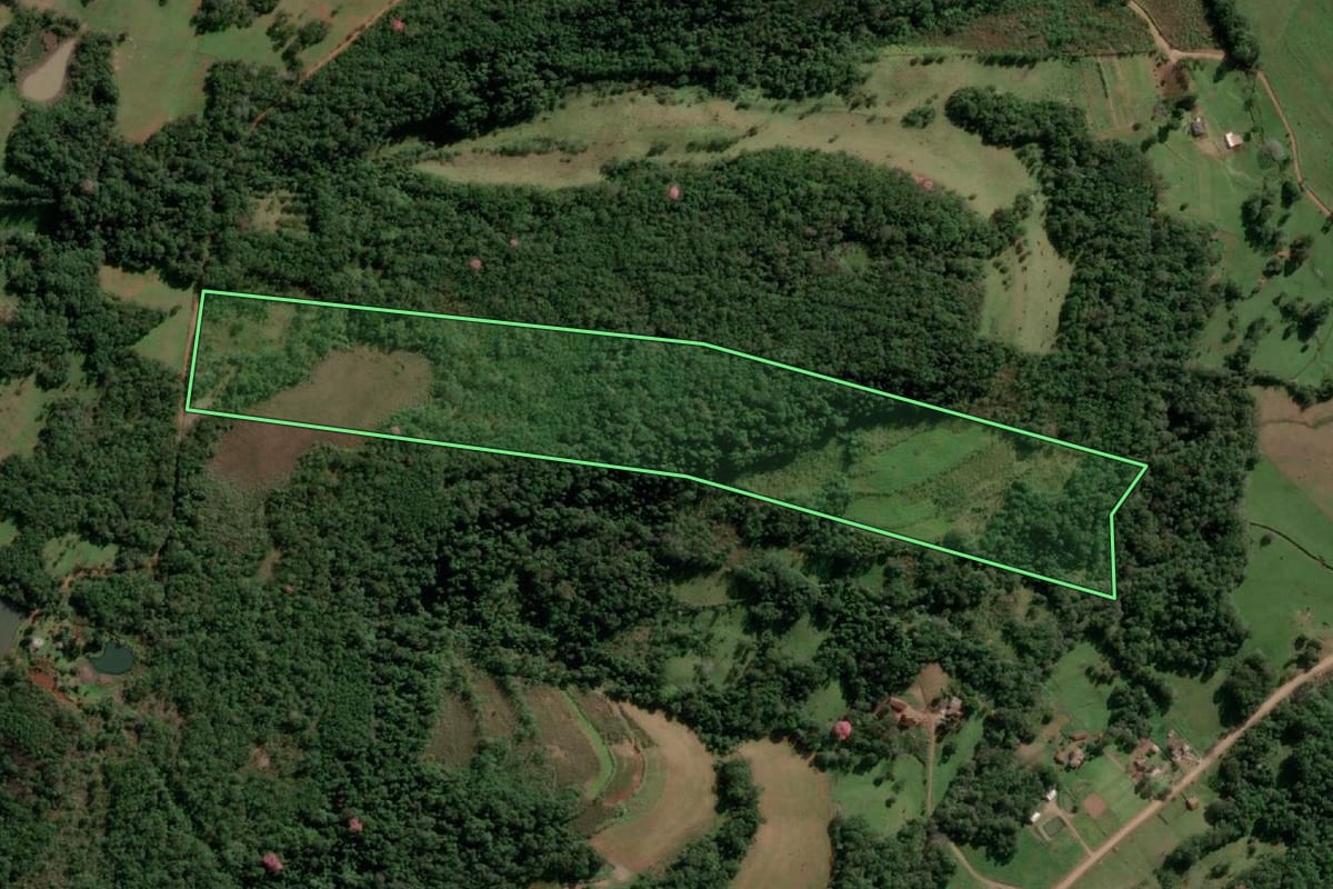 Imagem de satélite do imóvel rural em Alecrim (RS), com o contorno declarado no CAR desenhado por cima.
