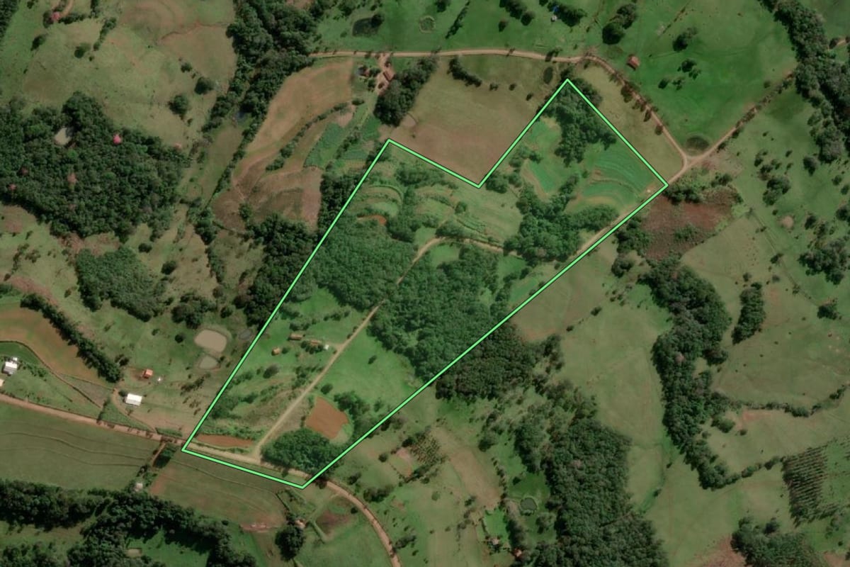 Imagem de satélite do imóvel rural em Alecrim (RS), com o contorno declarado no CAR desenhado por cima.