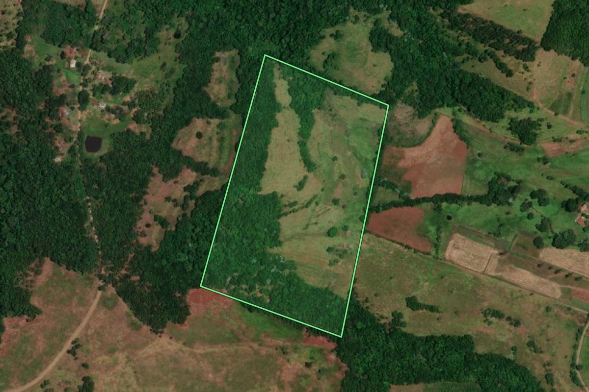 Imagem de satélite do imóvel rural em Alecrim (RS), com o contorno declarado no CAR desenhado por cima.