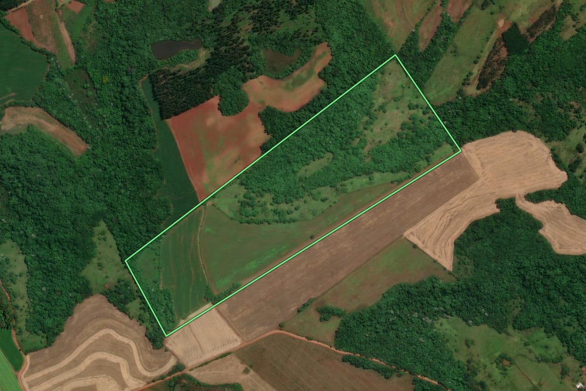 Imagem de satélite do imóvel rural em Alecrim (RS), com o contorno declarado no CAR desenhado por cima.