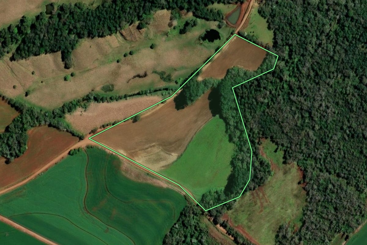 Imagem de satélite do imóvel rural em Alecrim (RS), com o contorno declarado no CAR desenhado por cima.