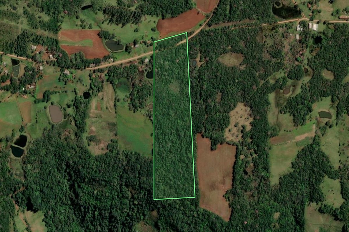 Imagem de satélite do imóvel rural em Alecrim (RS), com o contorno declarado no CAR desenhado por cima.