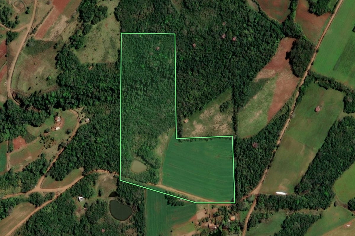 Imagem de satélite do imóvel rural em Alecrim (RS), com o contorno declarado no CAR desenhado por cima.