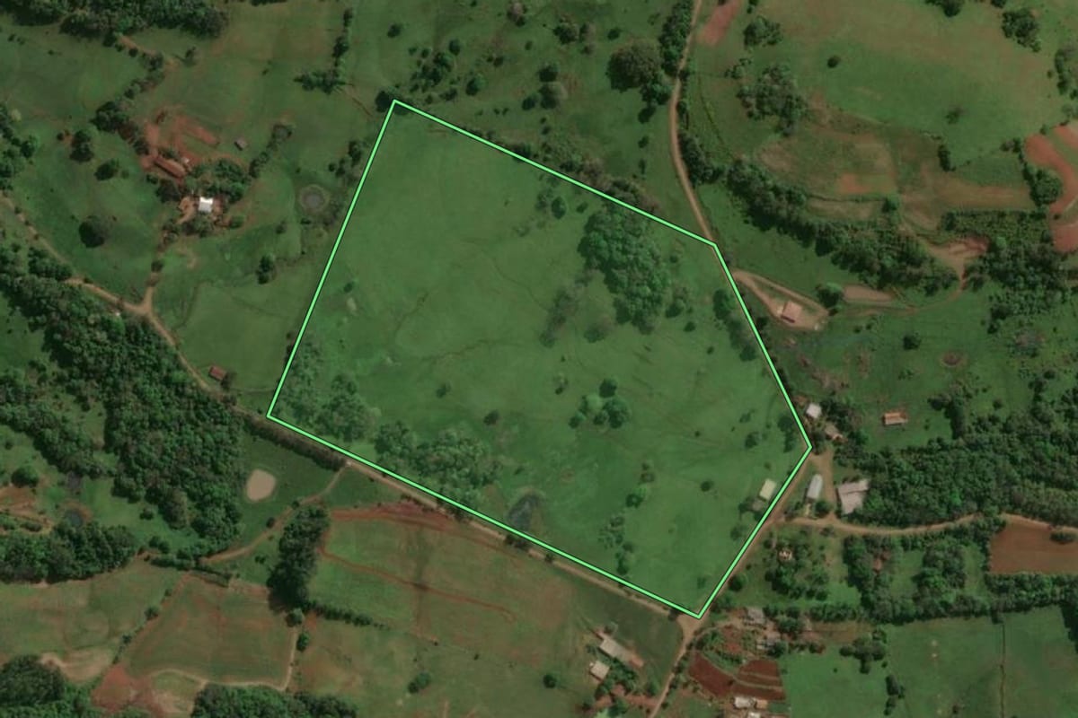 Imagem de satélite do imóvel rural em Alecrim (RS), com o contorno declarado no CAR desenhado por cima.