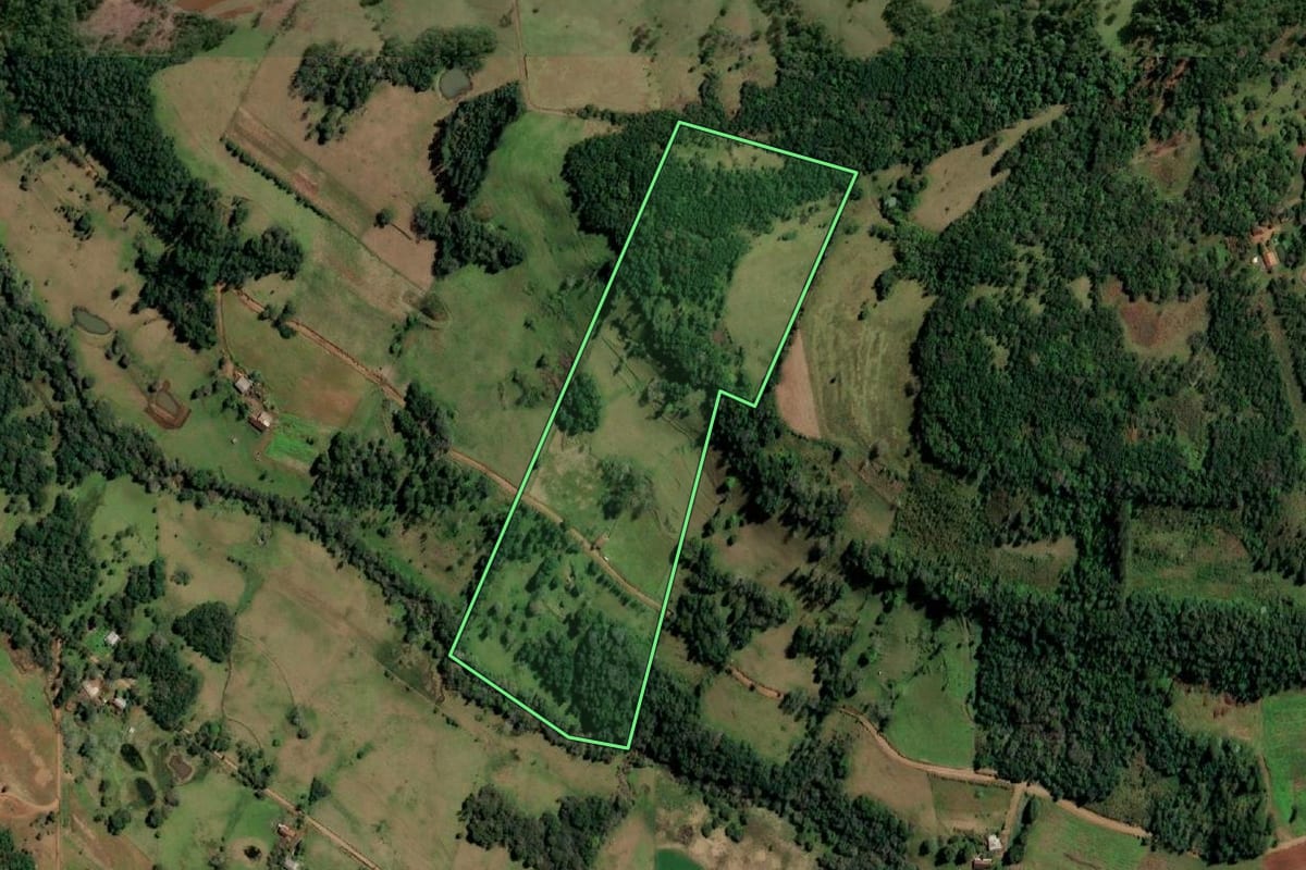Imagem de satélite do imóvel rural em Alecrim (RS), com o contorno declarado no CAR desenhado por cima.
