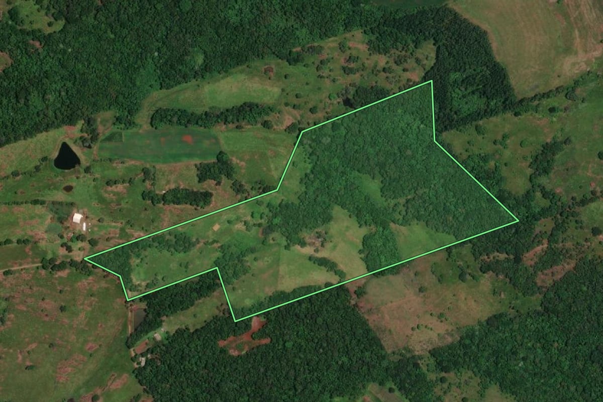 Imagem de satélite do imóvel rural em Alecrim (RS), com o contorno declarado no CAR desenhado por cima.