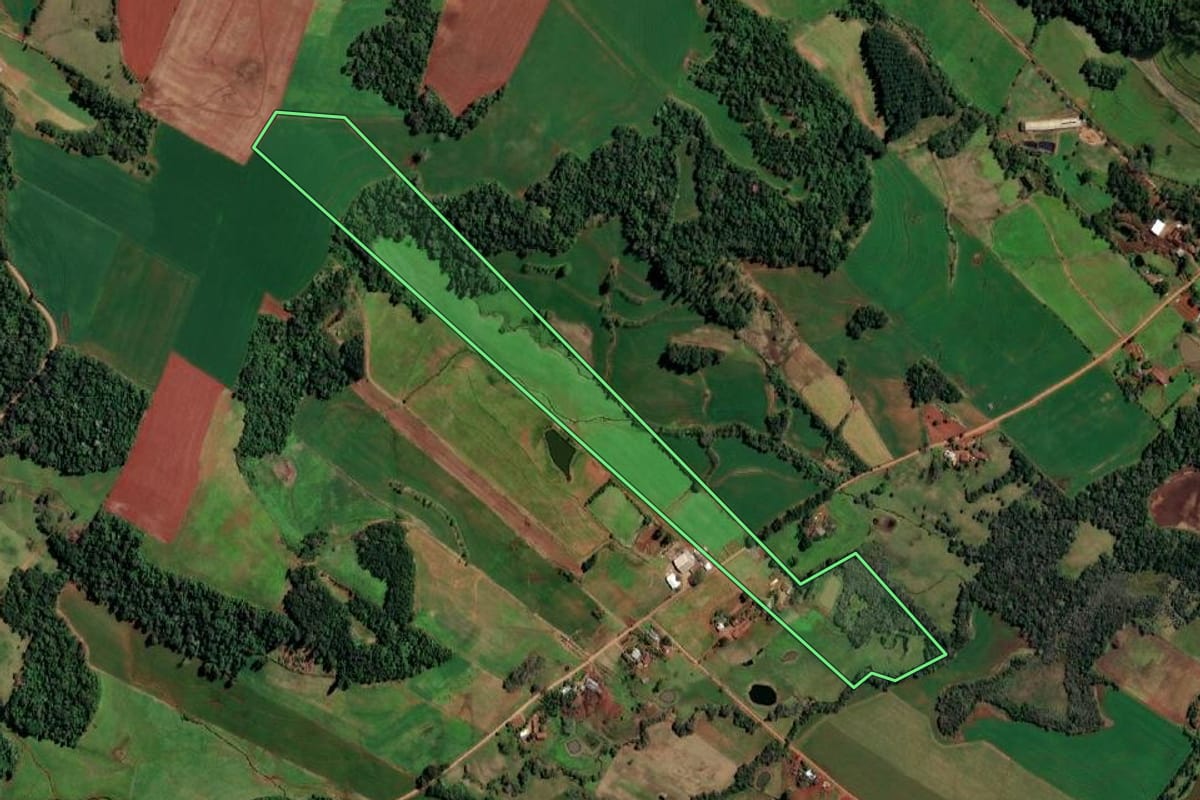 Imagem de satélite do imóvel rural em Alecrim (RS), com o contorno declarado no CAR desenhado por cima.
