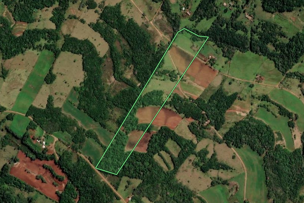 Imagem de satélite do imóvel rural em Alecrim (RS), com o contorno declarado no CAR desenhado por cima.