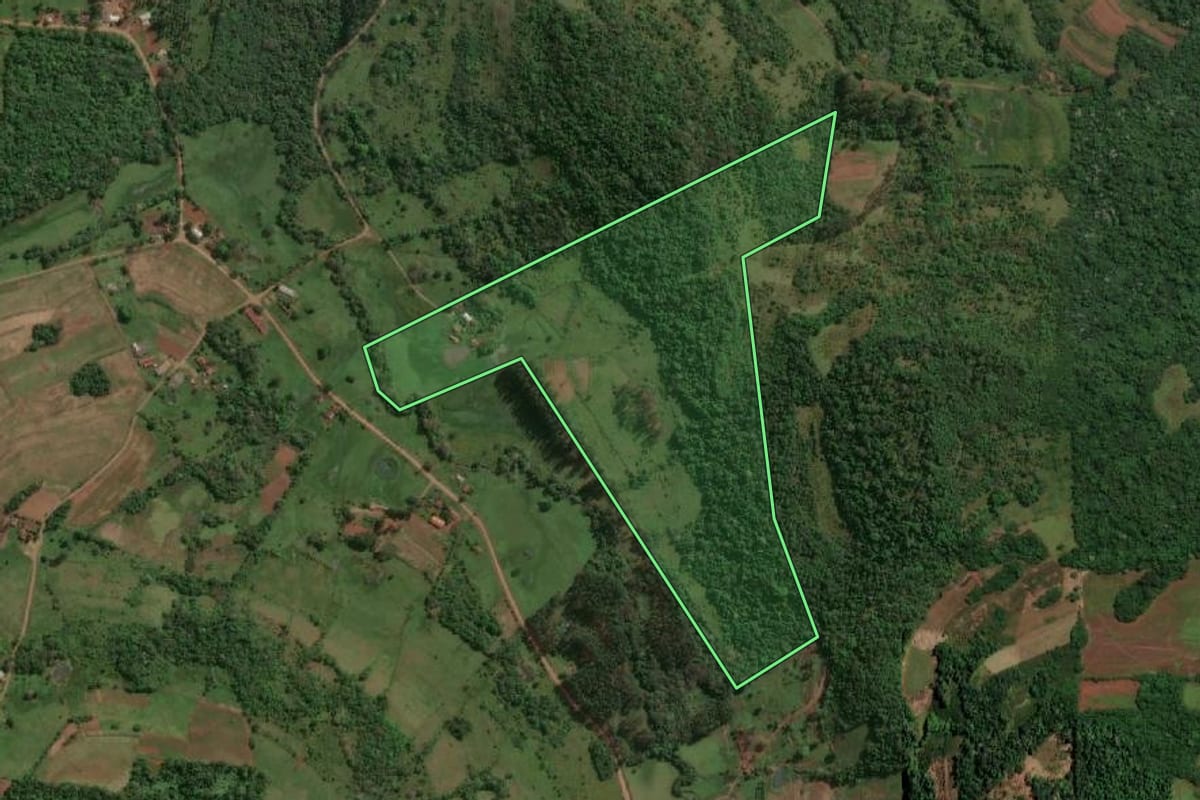 Imagem de satélite do imóvel rural em Alecrim (RS), com o contorno declarado no CAR desenhado por cima.