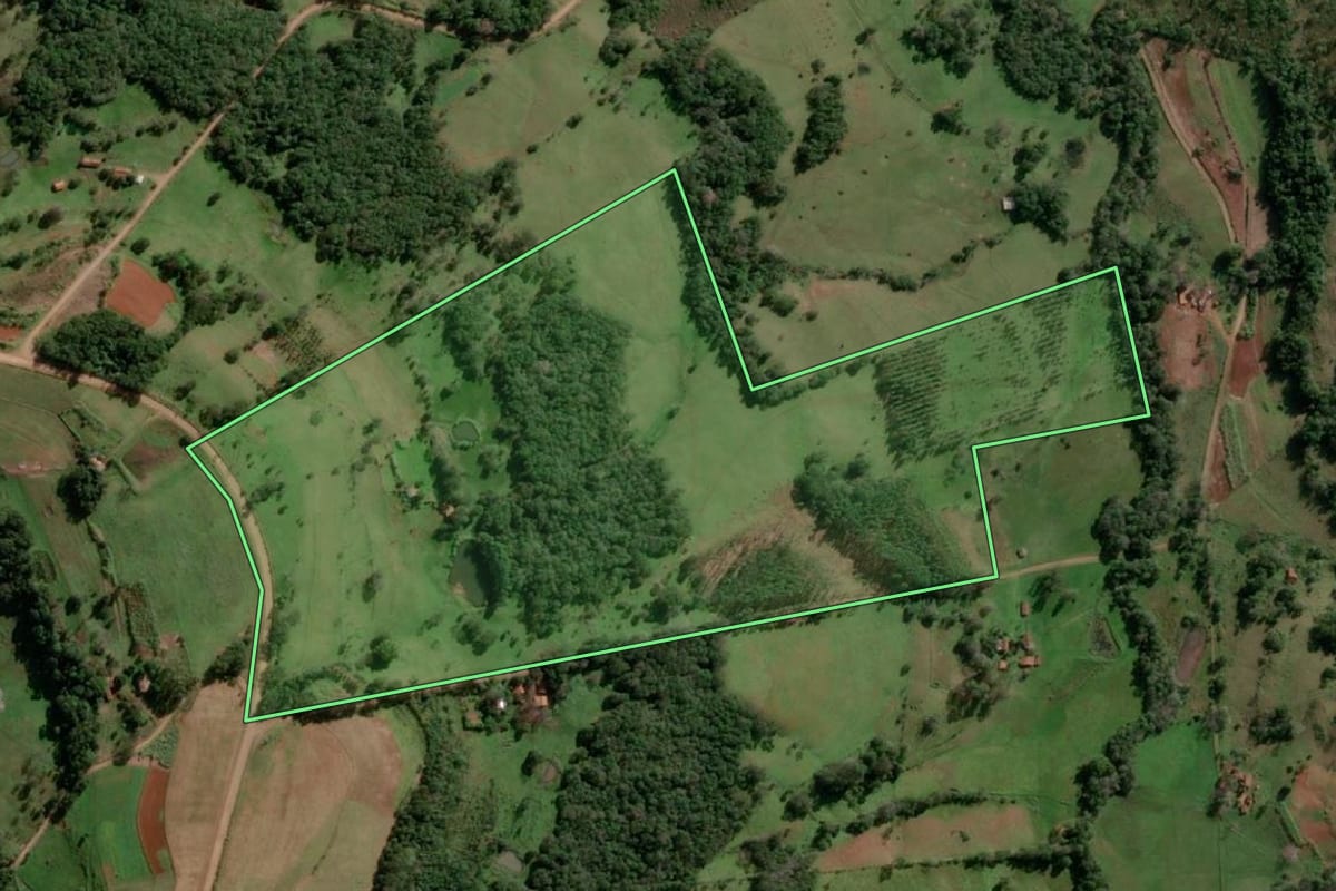 Imagem de satélite do imóvel rural em Alecrim (RS), com o contorno declarado no CAR desenhado por cima.