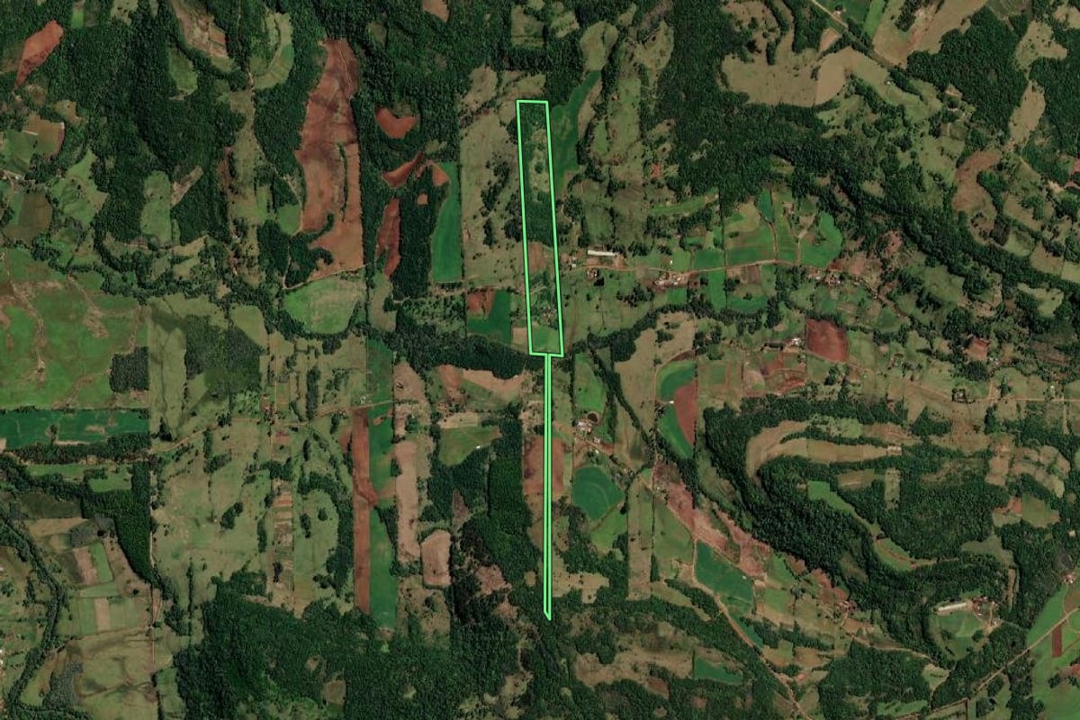 Imagem de satélite do imóvel rural em Alecrim (RS), com o contorno declarado no CAR desenhado por cima.