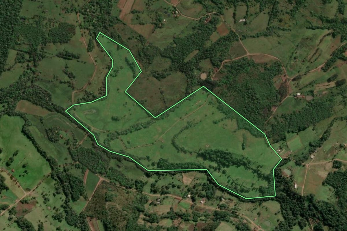 Imagem de satélite do imóvel rural em Alecrim (RS), com o contorno declarado no CAR desenhado por cima.
