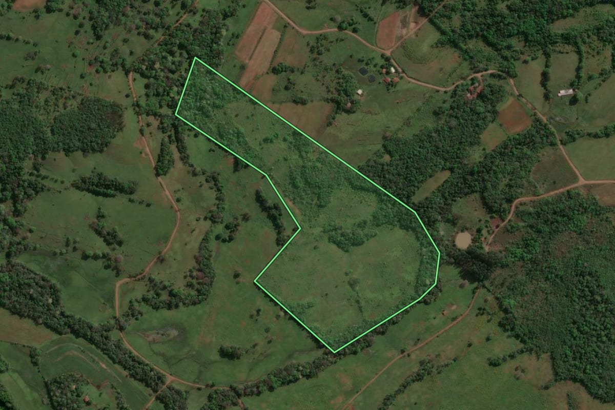 Imagem de satélite do imóvel rural em Alecrim (RS), com o contorno declarado no CAR desenhado por cima.
