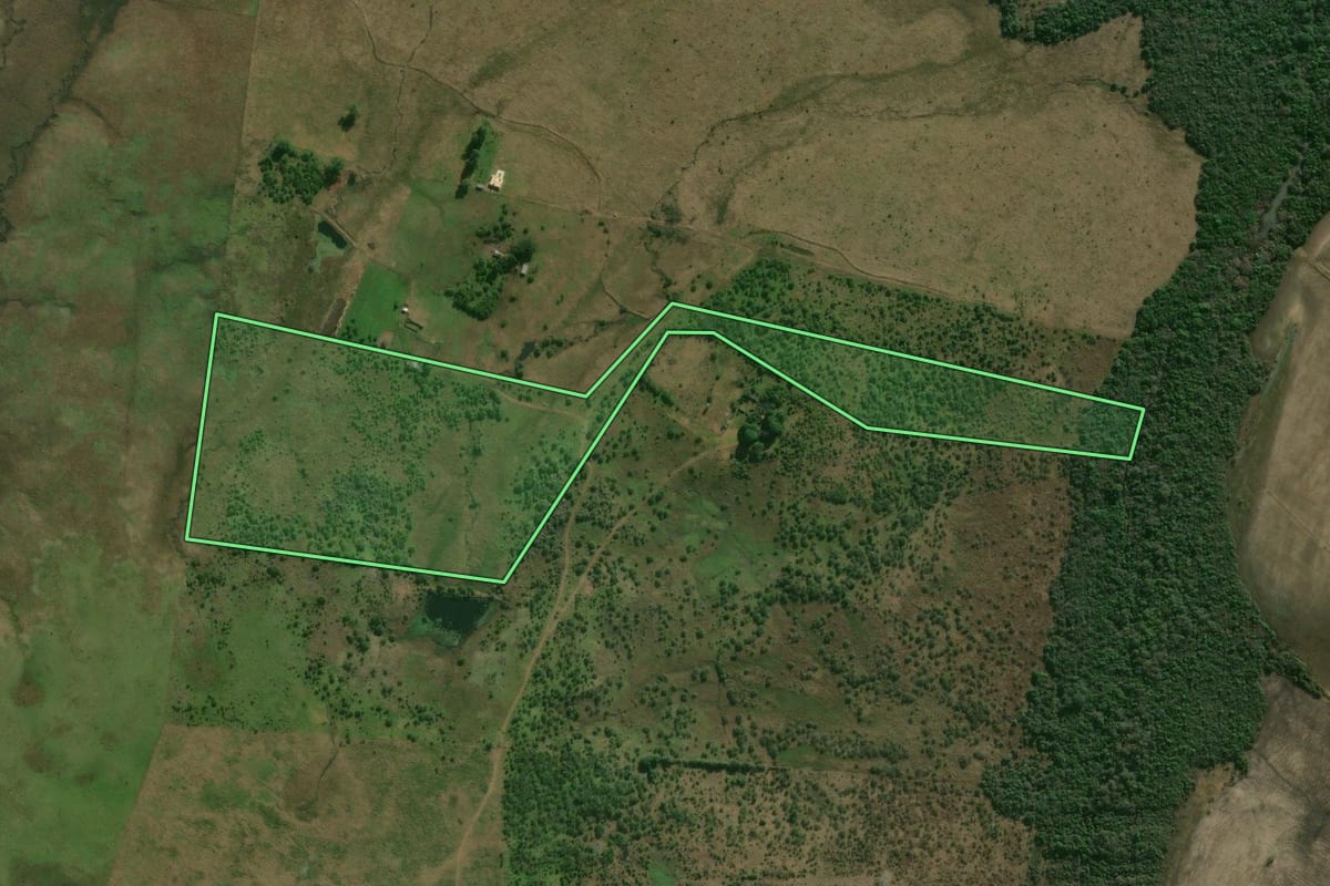 Imagem de satélite do imóvel rural em Alegrete (RS), com o contorno declarado no CAR desenhado por cima.