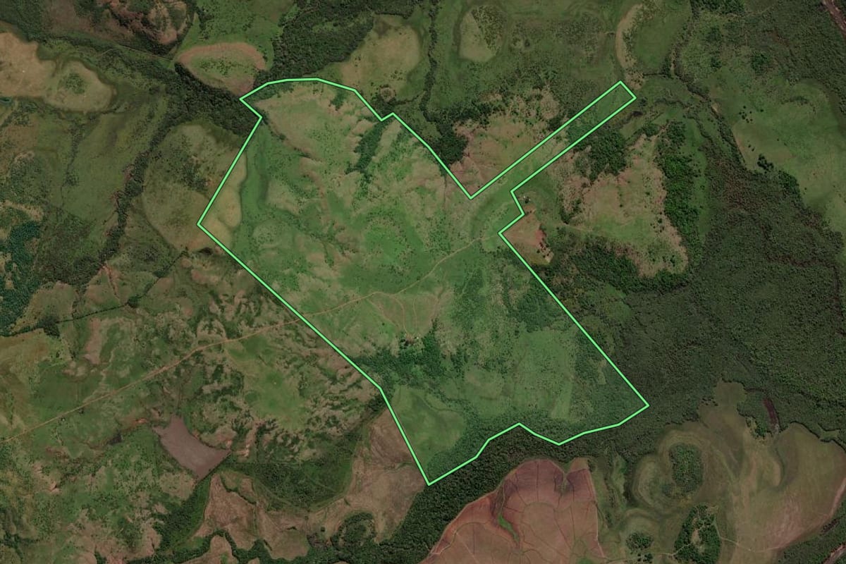 Imagem de satélite do imóvel rural em Alegrete (RS), com o contorno declarado no CAR desenhado por cima.