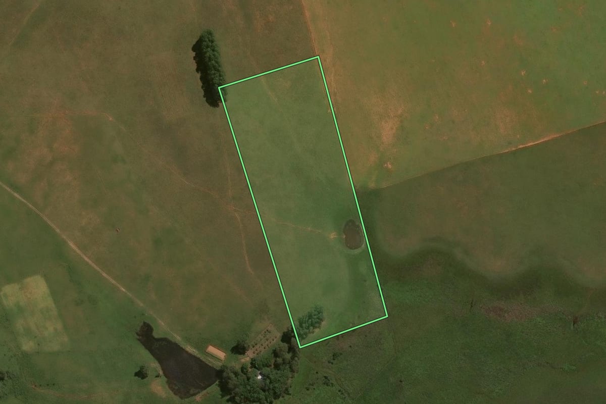 Imagem de satélite do imóvel rural em Alegrete (RS), com o contorno declarado no CAR desenhado por cima.