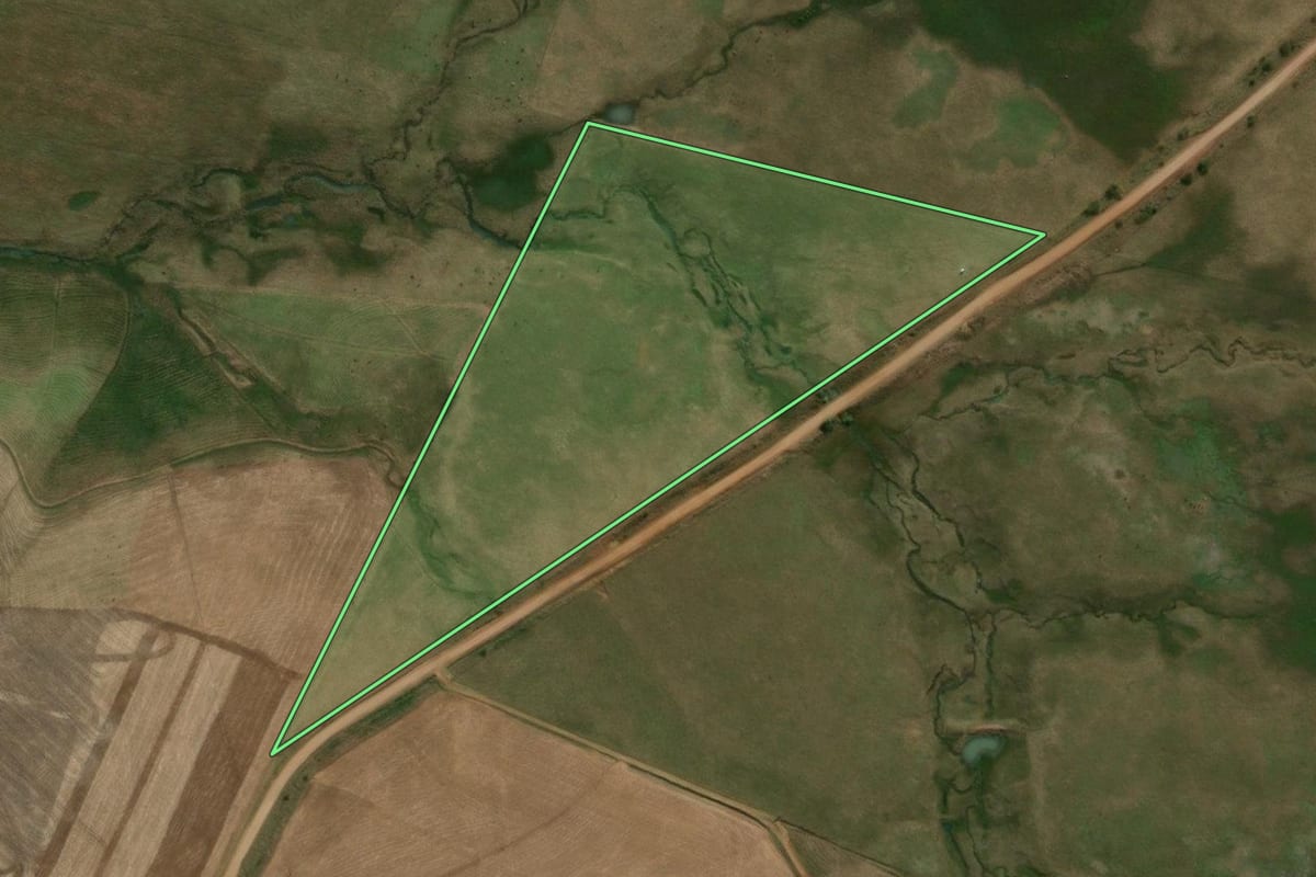 Imagem de satélite do imóvel rural em Alegrete (RS), com o contorno declarado no CAR desenhado por cima.