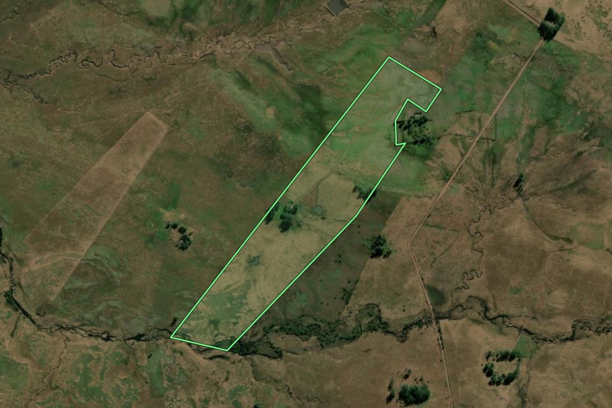 Imagem de satélite do imóvel rural em Alegrete (RS), com o contorno declarado no CAR desenhado por cima.