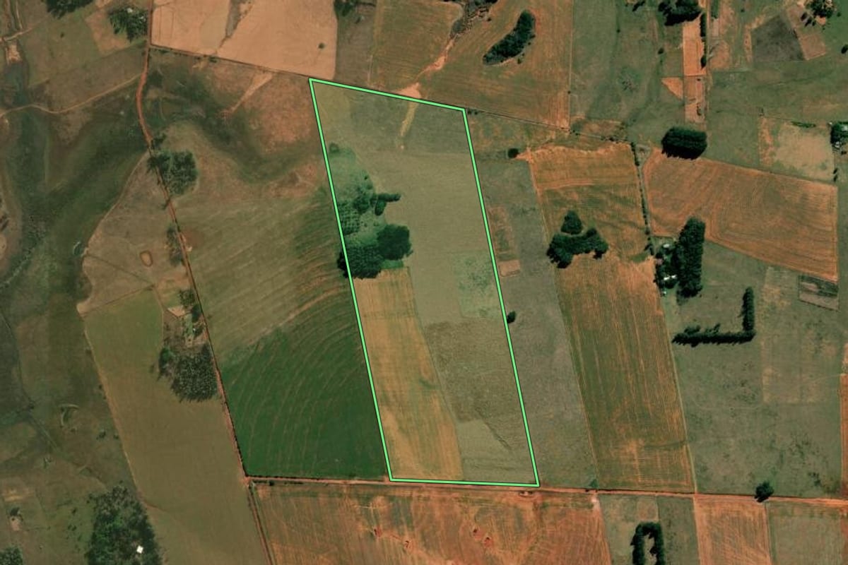 Imagem de satélite do imóvel rural em Alegrete (RS), com o contorno declarado no CAR desenhado por cima.
