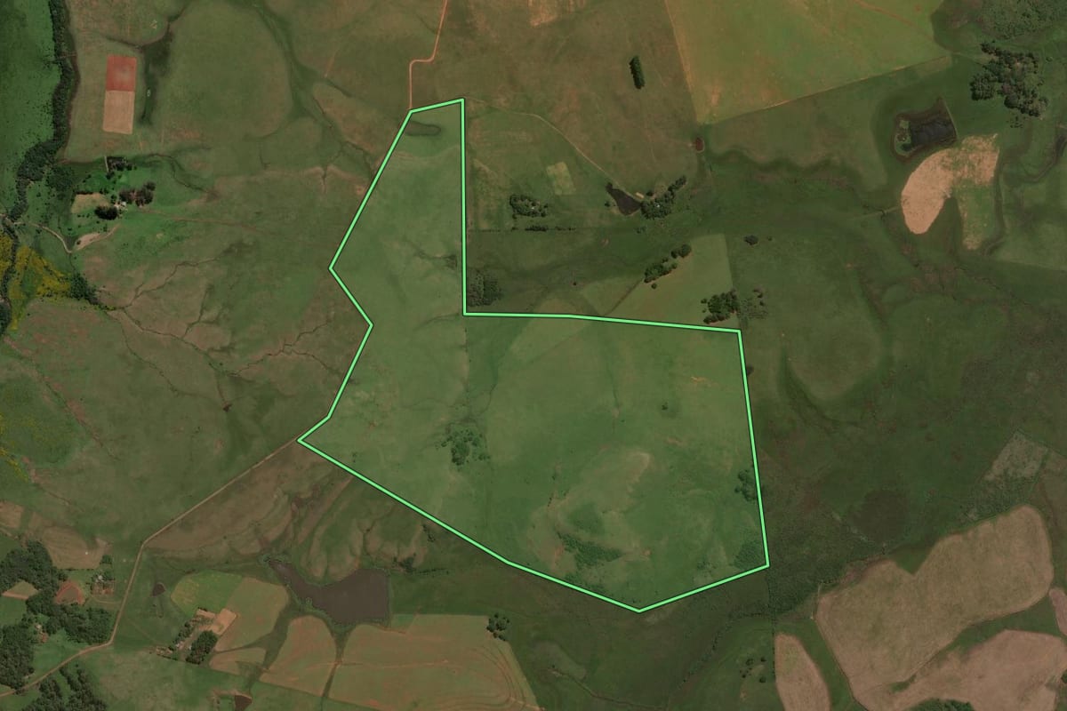 Imagem de satélite do imóvel rural em Alegrete (RS), com o contorno declarado no CAR desenhado por cima.