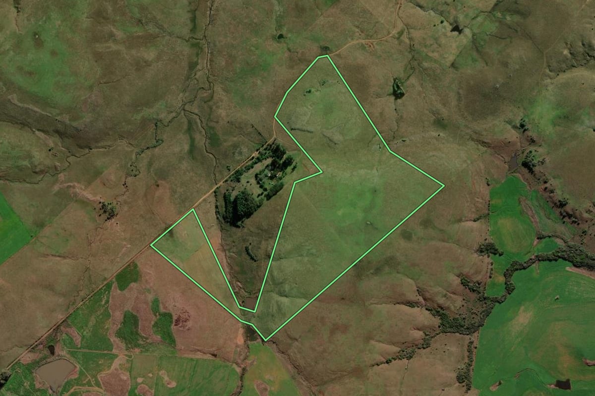Imagem de satélite do imóvel rural em Alegrete (RS), com o contorno declarado no CAR desenhado por cima.