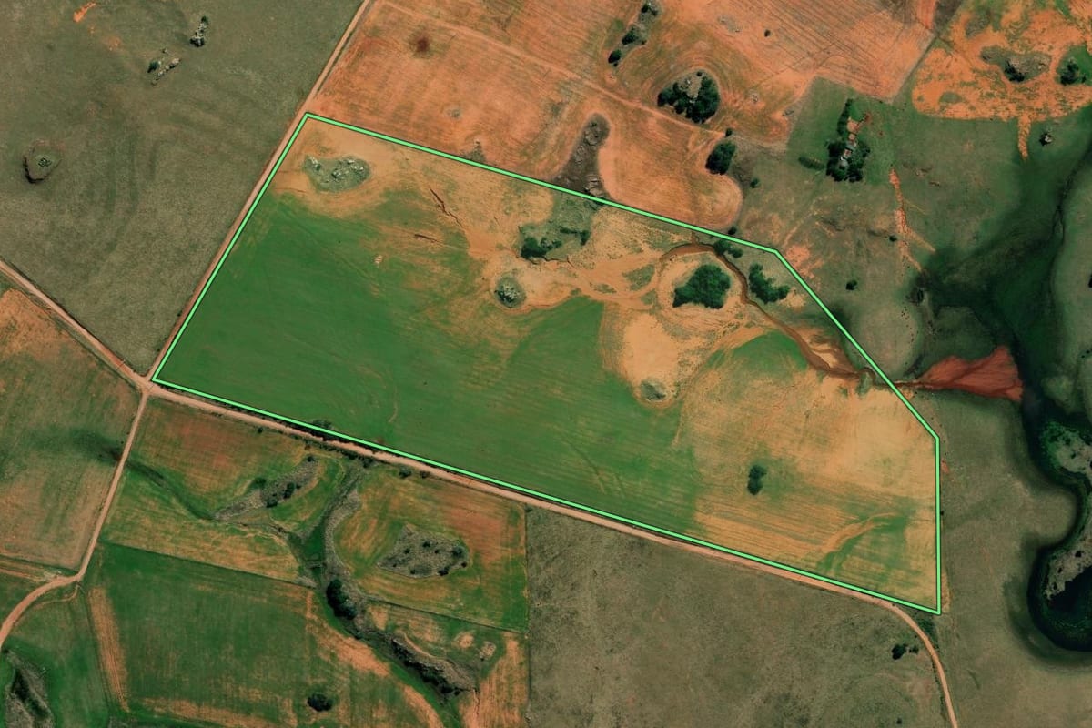 Imagem de satélite do imóvel rural em Alegrete (RS), com o contorno declarado no CAR desenhado por cima.