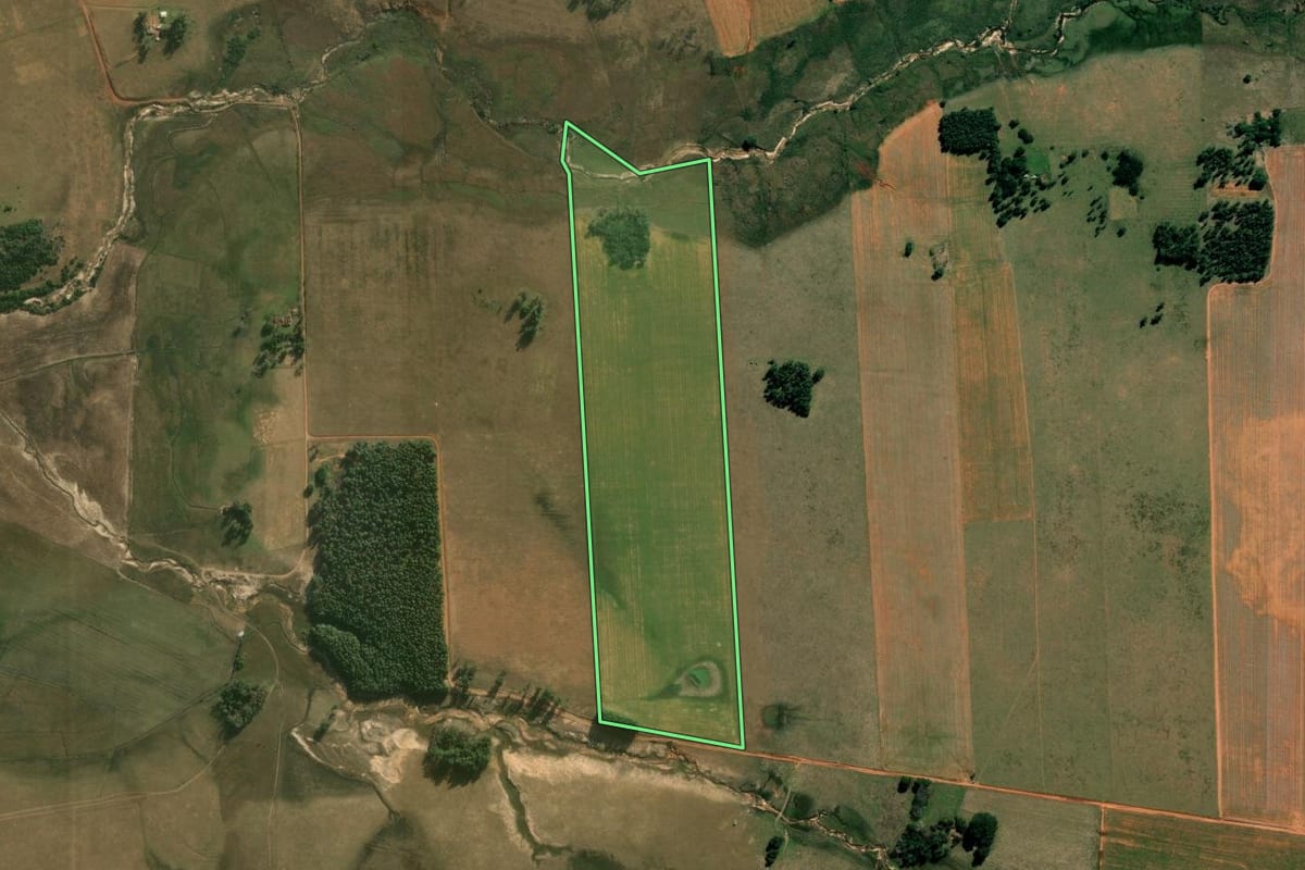 Imagem de satélite do imóvel rural em Alegrete (RS), com o contorno declarado no CAR desenhado por cima.