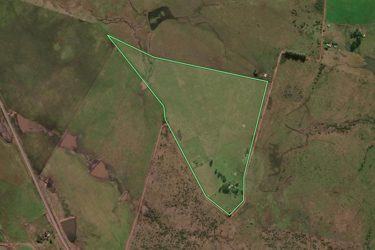 Imagem de satélite do imóvel rural em Alegrete (RS), com o contorno declarado no CAR desenhado por cima.