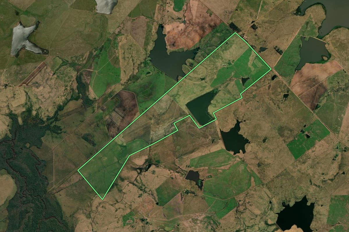 Imagem de satélite do imóvel rural em Alegrete (RS), com o contorno declarado no CAR desenhado por cima.